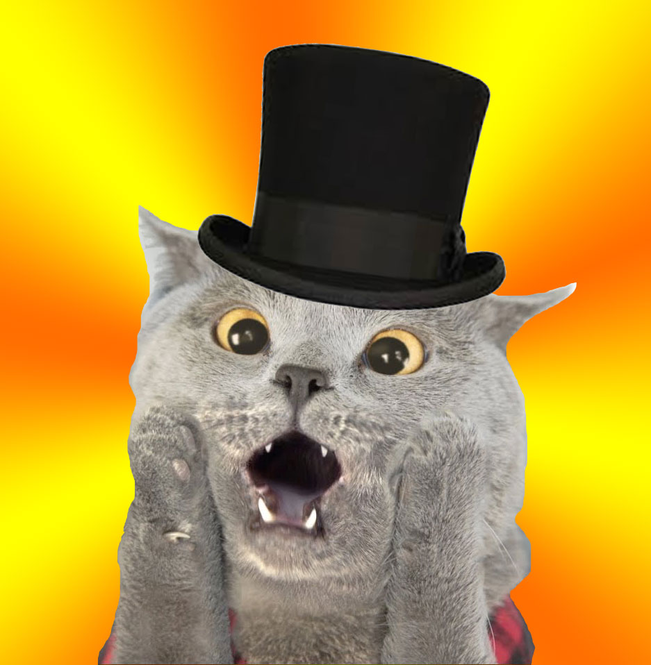Cat with a hat